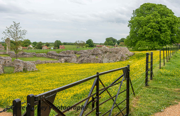 The fields around the ruins were filled with buttercups.