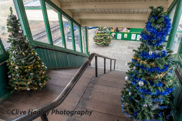 Welcoming Christmas trees have appeared on the station steps.
