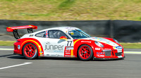 13 August 2017. Porche Carrera Cup at Knockhill