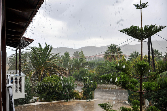 It does rain occasionally in Zakynthos. Hence the green trees!