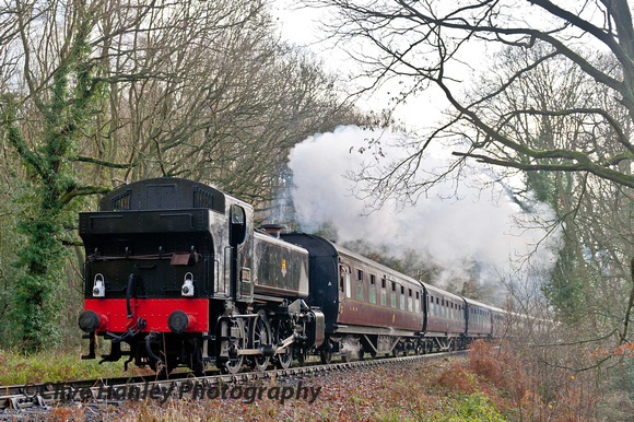 Our lunch was taken along Northwood Lane again while a couple of tender first runs passed by.
