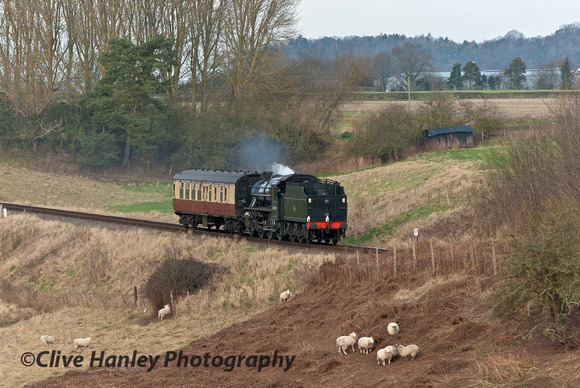 42968 ambles down Eardington bank with only sheep to admire it.