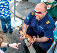 22 May 2016. Sheringham's Crab & Lobster Festival