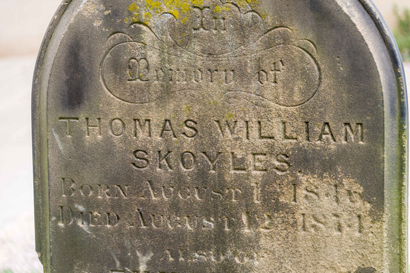 Memorial - Thomas William Skoyles