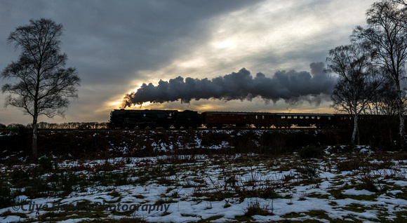 Having been inspired by a couple of Malcolm Ranieri's shots I went for my own silhouettes. 34027