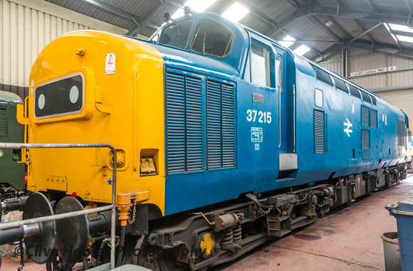Class 37 no 37215 (D6915)