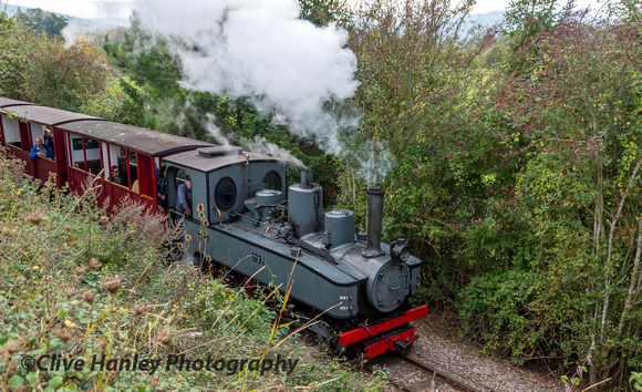 A couple of shots through the overgrown vegetatiuon of the NGR (North Gloucestershire Railway)