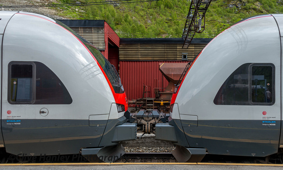 The coupling between the 2 x 5 car units.