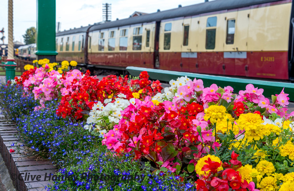 Flowers at Loughborough station