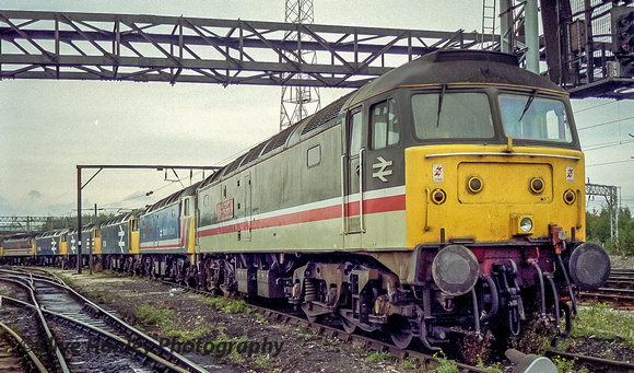 A line up of Class 47 locos in several liveries.