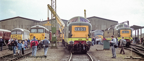 Class 56 no 56013, Class 87 no 87101, Class 55's D9016 & D9000