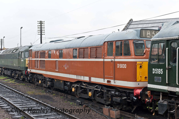 Class 31 no D5830 in the experimental Ochre livery.