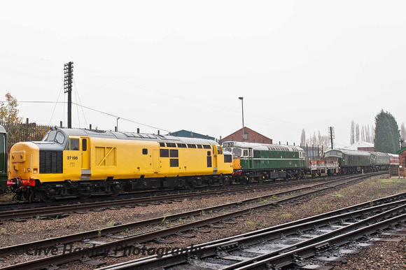 A diesel line-up at Loughborough