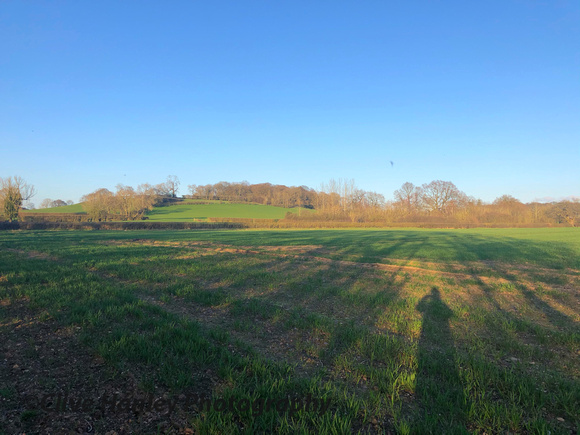 Long shadows in the open countryside