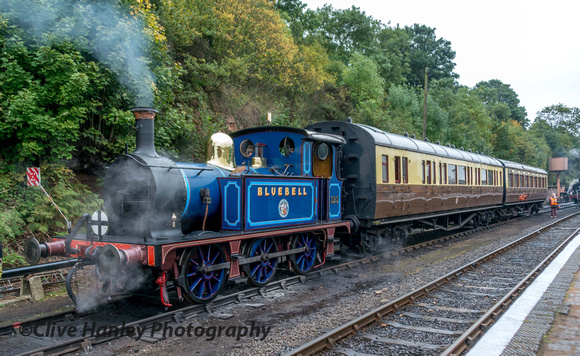 Guest loco from The Bluebell Railway was 1910 built P Class 0-6-0 no (31)323
