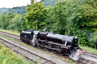 30th July 2011. Llangollen Railway '60's Gala
