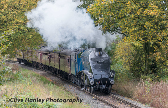 60007 Sir Nigel Gresley runs through the autumn leaved trees on the approach towards Summerseat.