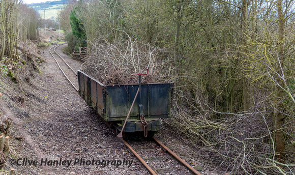Some of the cut down lineside shrubs on the narrow gauge track.