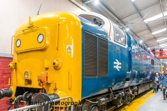 An anonymous Class 55 Deltic.