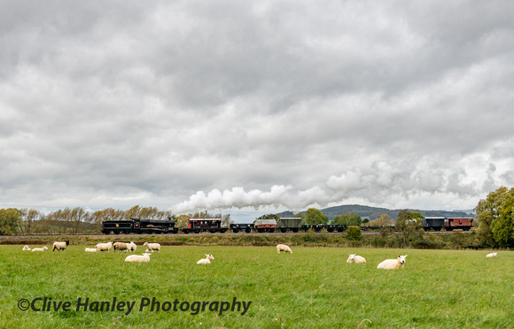 7820 hauls the freight train past the grazing sheep at Didbrook.