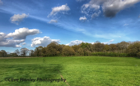 On the footpath between Langley Road & Kington Lane