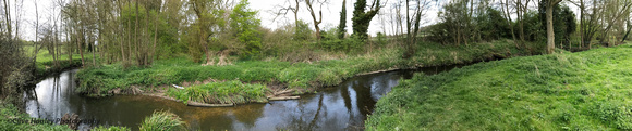 A tributary of the River Alne