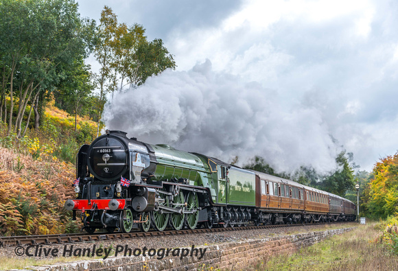60163 Tornado hauls the 11.45am from Kidderminster past Dowles Junction