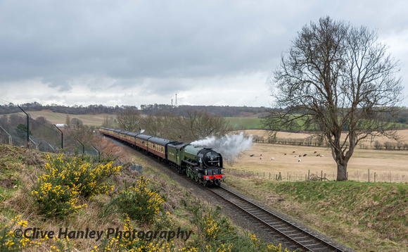 Severe wind chill. Shelter was provided by the cutting as 60163 Tornado passed with the 10.20am from Kidderminster