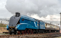 26 October 2014. Tyseley Loco Works Open day.