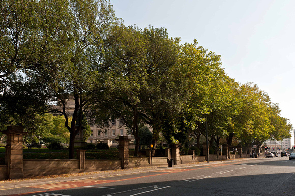 The trees are growing in St John's Gardens behind St George's Hall. The road is St John's Lane