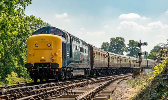 Class 55 Deltic no 55019 crosses Bewdley South Viaduct with the 11.23 from Kidderminster