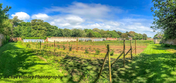 A panorama of the walled Stackpole garden