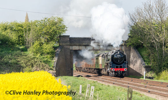 70013 Oliver Cromwell passes beneath Woodthorope bridge with a field of rapeseed in full flower.
