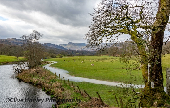 The path towards Elterwater.
