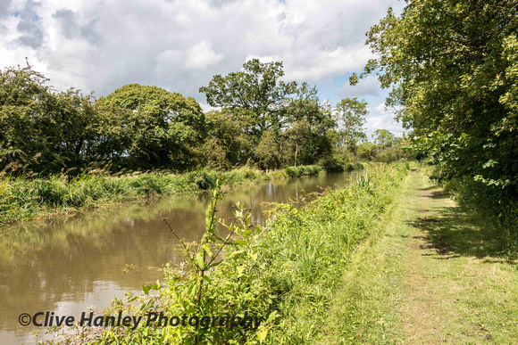The walk to reach the first location took me along the towpath of The Stratford canal from Wilmcote.
