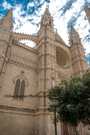 Palma Cathedral.