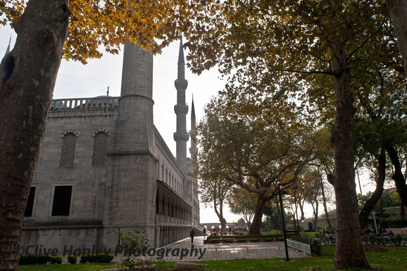The back of the Blue Mosque.