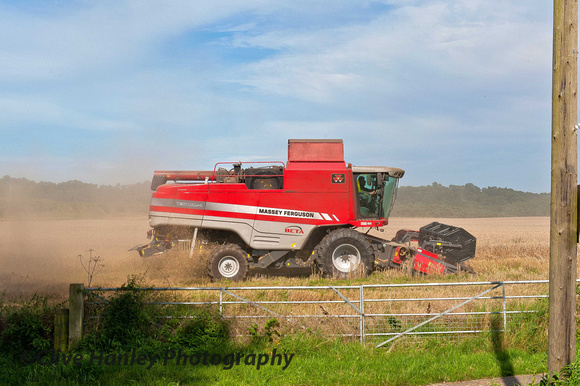Autumn is upon us and a combined harvester was in action in a nearby field.