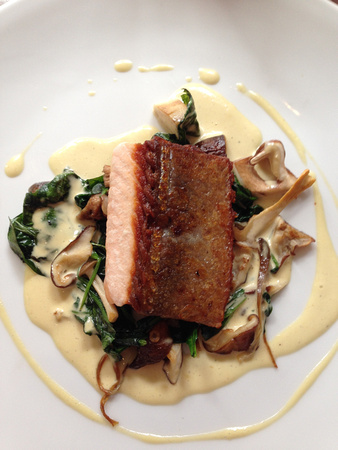 Pan roast fillet of Loch Duart salmon served on a bed of creamed wild mushrooms.