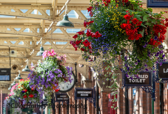 David Putt has produced a remarkable display of flowers with the hanging baskets.