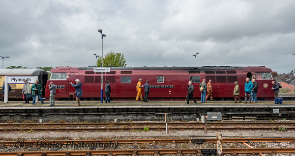 D1015 at Plymouth (as D1017 Western Warrior.)
