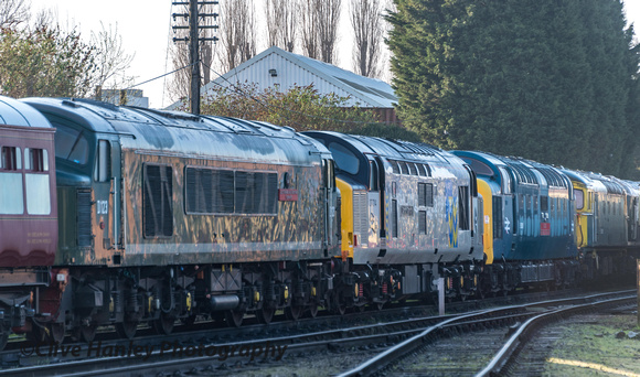 A line-up of classic diesels - Class 45, 37, 55, 33 & 25.