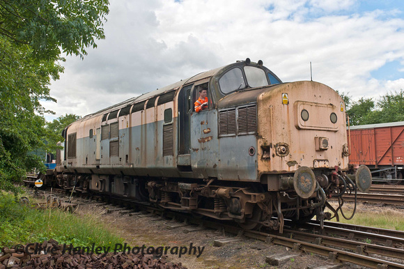 Class 37 no D6955 (as 37255)